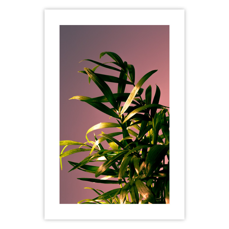Wall Poster Botanical Detail - green leaves in light glow on pink background 123976 additionalImage 19