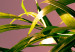 Wall Poster Botanical Detail - green leaves in light glow on pink background 123976 additionalThumb 8