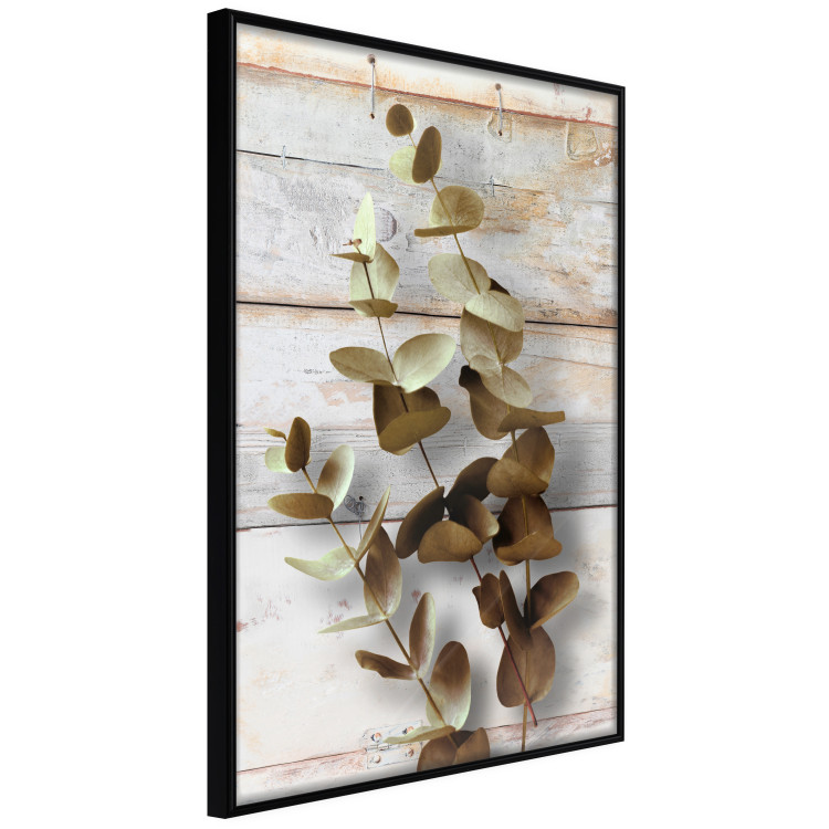 Wall Poster January Dawn - plant with brown leaves on a background of wooden planks 125276 additionalImage 10