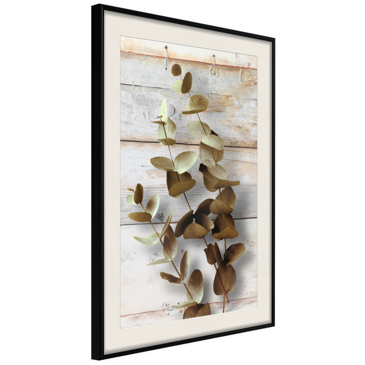 Wall Poster January Dawn - plant with brown leaves on a background of wooden planks 125276 additionalImage 3