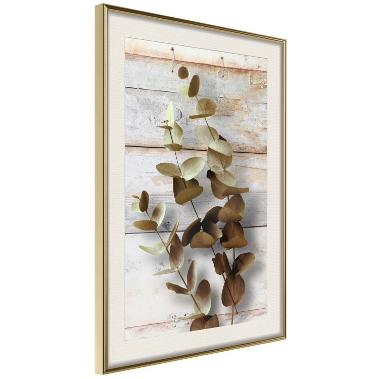 Wall Poster January Dawn - plant with brown leaves on a background of wooden planks 125276 additionalImage 2