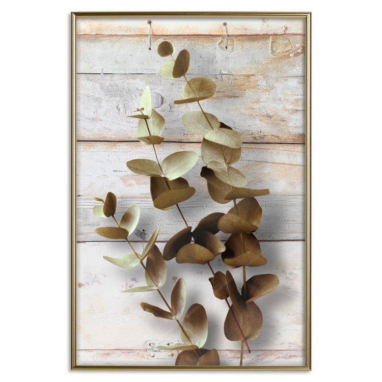 Wall Poster January Dawn - plant with brown leaves on a background of wooden planks 125276 additionalImage 20