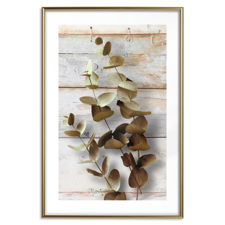 Wall Poster January Dawn - plant with brown leaves on a background of wooden planks 125276 additionalImage 16