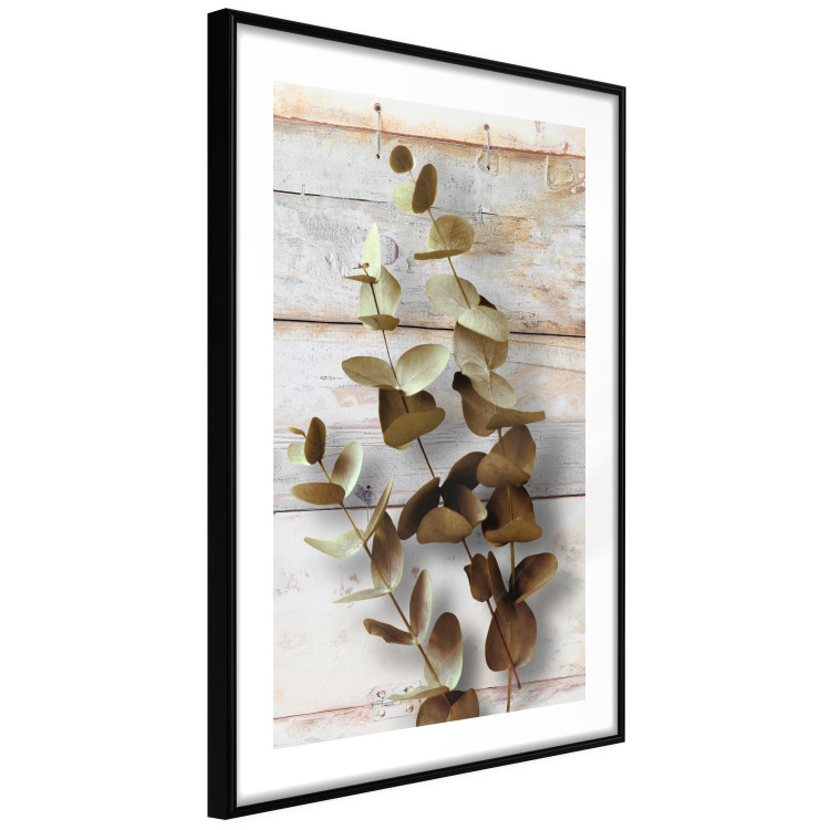 Wall Poster January Dawn - plant with brown leaves on a background of wooden planks 125276 additionalImage 13