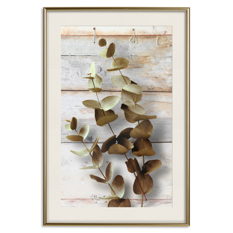 Wall Poster January Dawn - plant with brown leaves on a background of wooden planks 125276 additionalImage 19