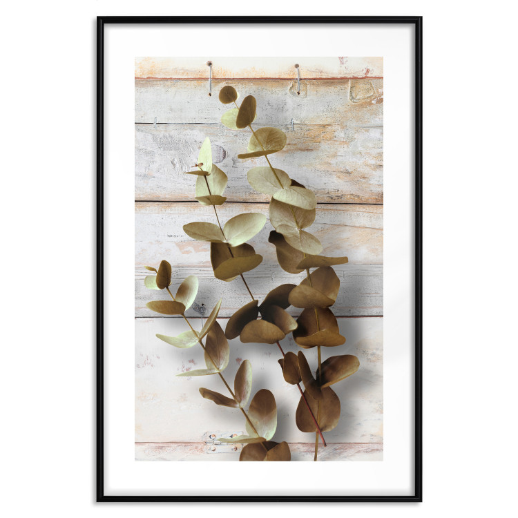 Wall Poster January Dawn - plant with brown leaves on a background of wooden planks 125276 additionalImage 15