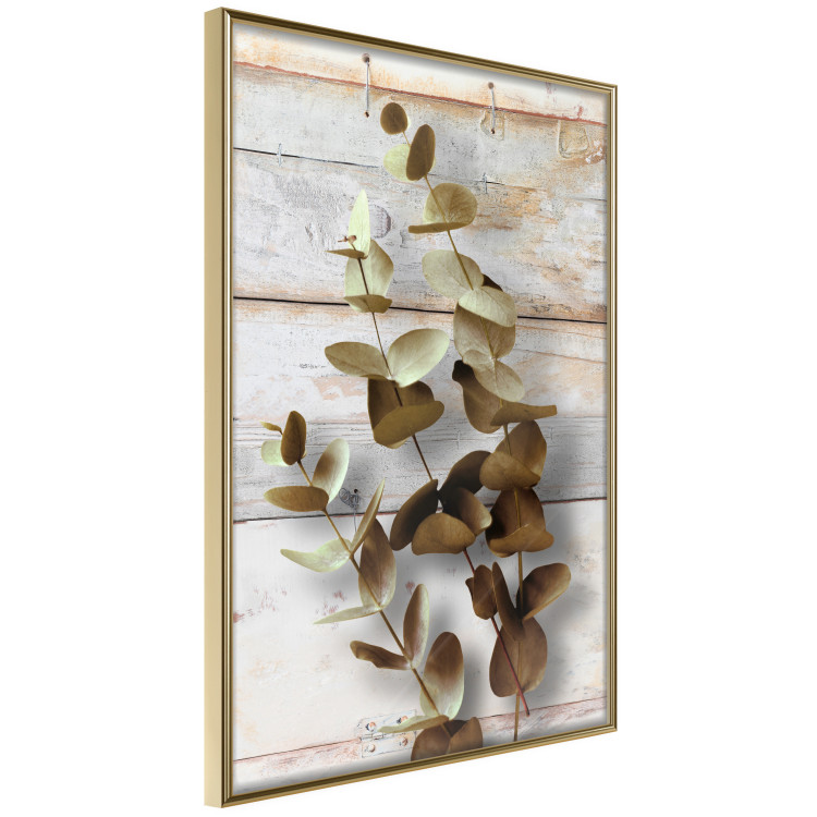 Wall Poster January Dawn - plant with brown leaves on a background of wooden planks 125276 additionalImage 14