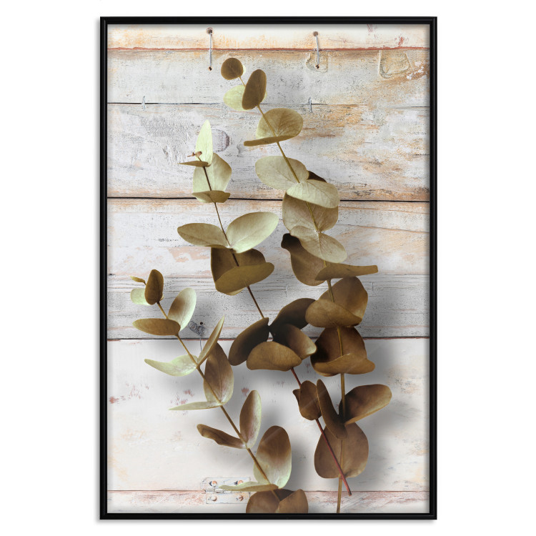 Wall Poster January Dawn - plant with brown leaves on a background of wooden planks 125276 additionalImage 18