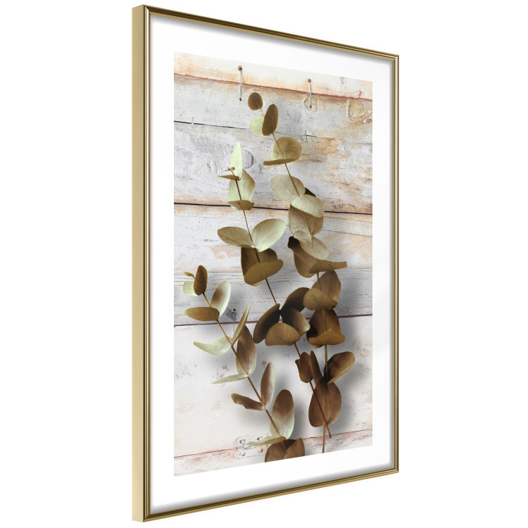 Wall Poster January Dawn - plant with brown leaves on a background of wooden planks 125276 additionalImage 8