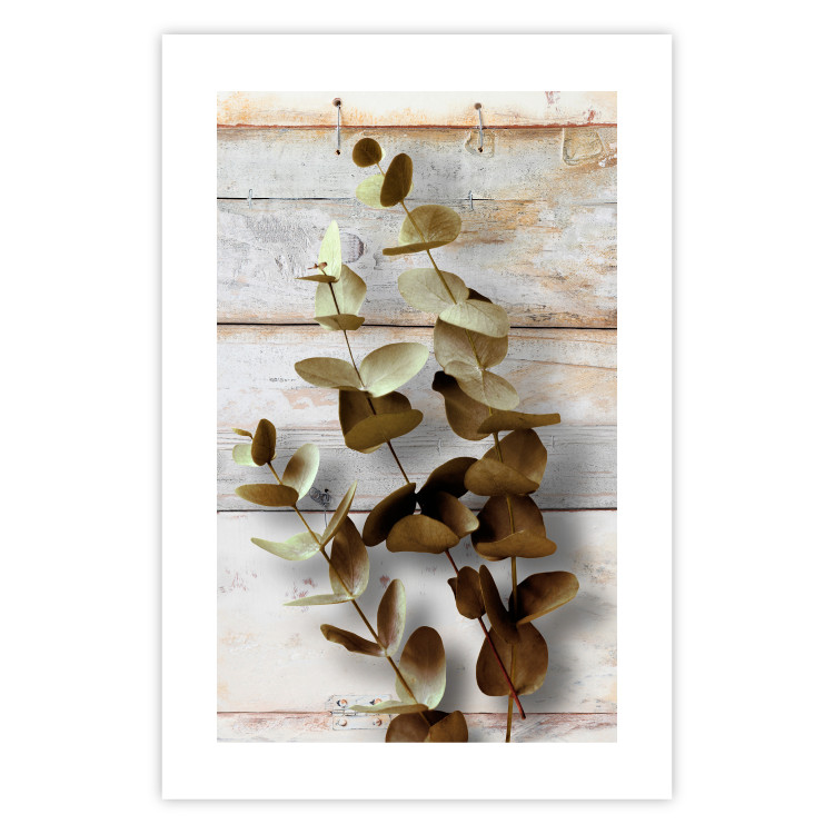 Wall Poster January Dawn - plant with brown leaves on a background of wooden planks 125276 additionalImage 25