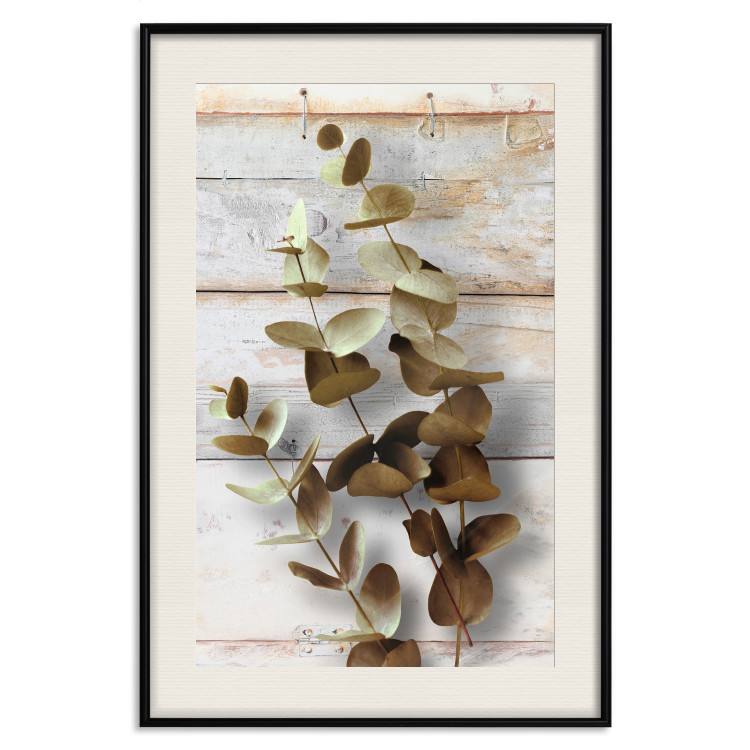 Wall Poster January Dawn - plant with brown leaves on a background of wooden planks 125276 additionalImage 18