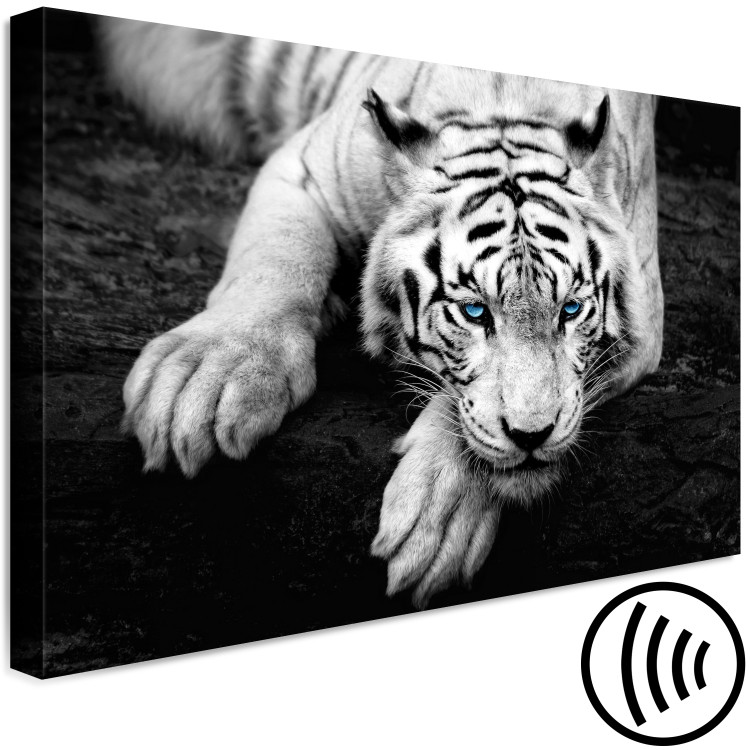 Canvas Art Print Menacing Look (1-part) wide - second variant - animals 128776 additionalImage 6