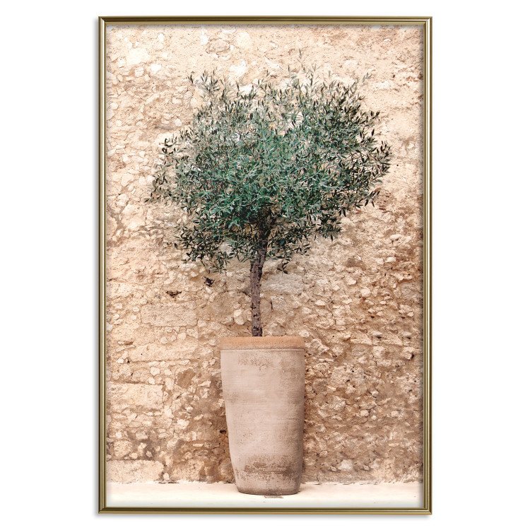 Wall Poster Tuscan Green - summer composition with green plant in a pot 129476 additionalImage 17