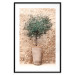 Wall Poster Tuscan Green - summer composition with green plant in a pot 129476 additionalThumb 15