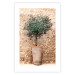 Wall Poster Tuscan Green - summer composition with green plant in a pot 129476 additionalThumb 19