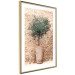 Wall Poster Tuscan Green - summer composition with green plant in a pot 129476 additionalThumb 5