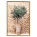 Wall Poster Tuscan Green - summer composition with green plant in a pot 129476 additionalThumb 17