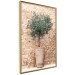 Wall Poster Tuscan Green - summer composition with green plant in a pot 129476 additionalThumb 4