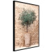 Wall Poster Tuscan Green - summer composition with green plant in a pot 129476 additionalThumb 2