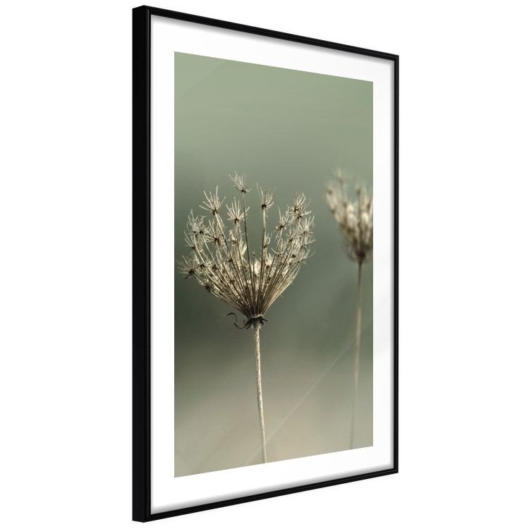 Poster Longing for Summer Past - summer plant against a blurred green background 130276 additionalImage 8