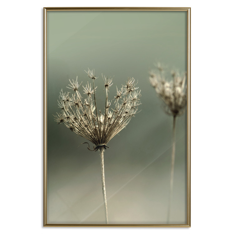 Poster Longing for Summer Past - summer plant against a blurred green background 130276 additionalImage 15