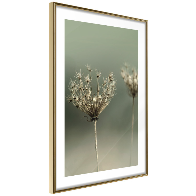 Poster Longing for Summer Past - summer plant against a blurred green background 130276 additionalImage 9