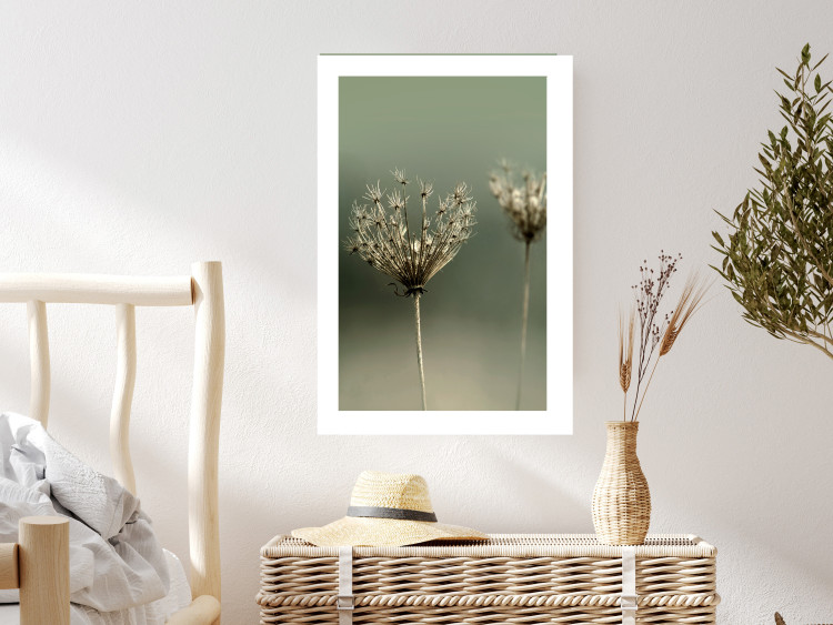 Poster Longing for Summer Past - summer plant against a blurred green background 130276 additionalImage 3