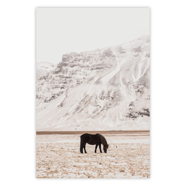 Poster Solitude in the Valley - landscape of a black animal against a mountain backdrop 130376