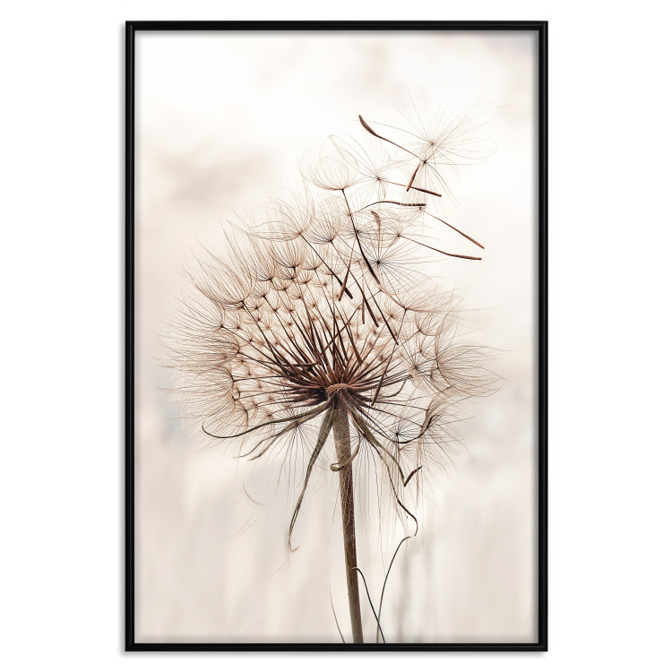 Poster Magnetic Breeze - dandelion flower in the wind in sepia colors 131776 additionalImage 27