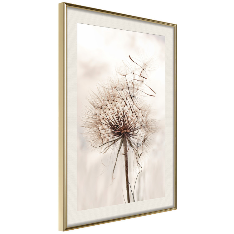 Poster Magnetic Breeze - dandelion flower in the wind in sepia colors 131776 additionalImage 3