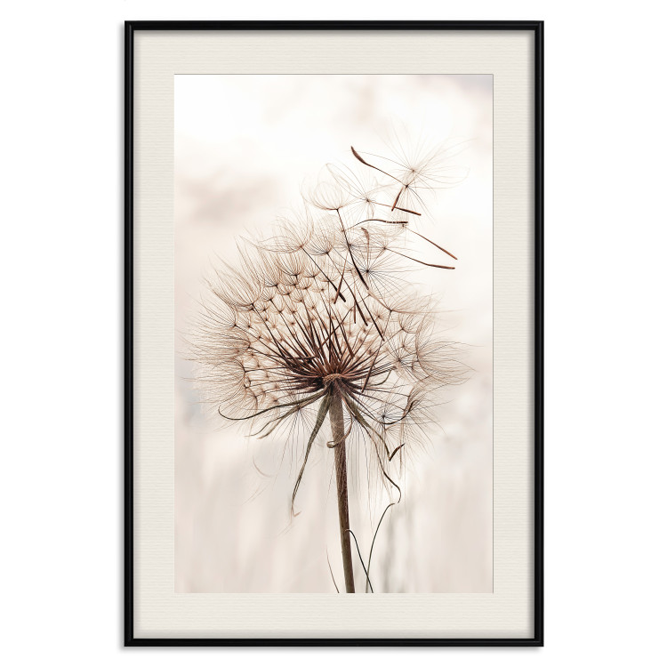Poster Magnetic Breeze - dandelion flower in the wind in sepia colors 131776 additionalImage 20