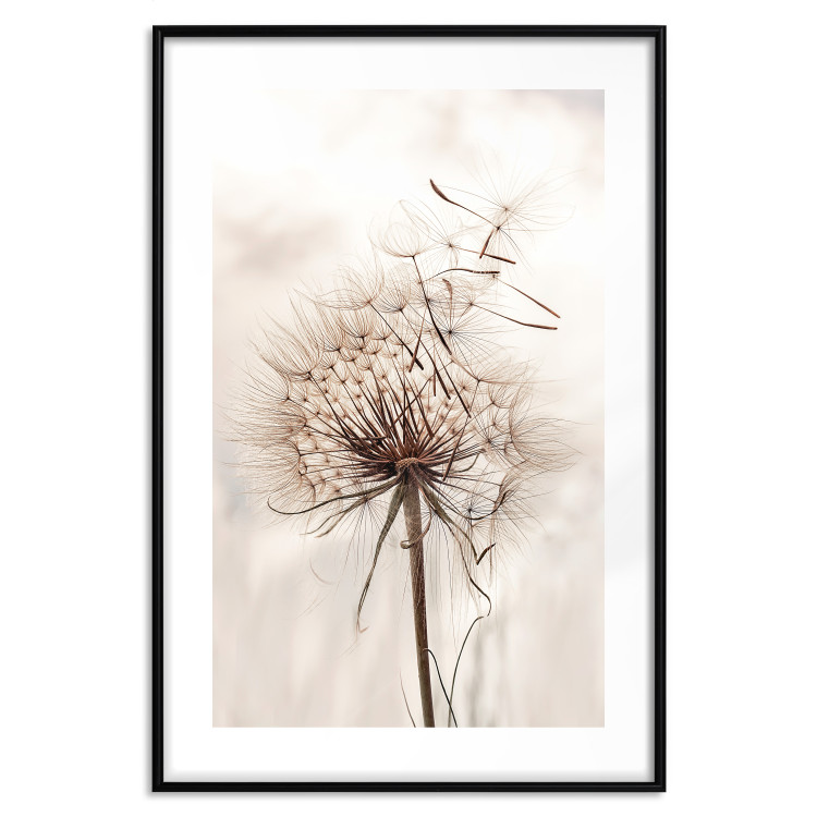 Poster Magnetic Breeze - dandelion flower in the wind in sepia colors 131776 additionalImage 18