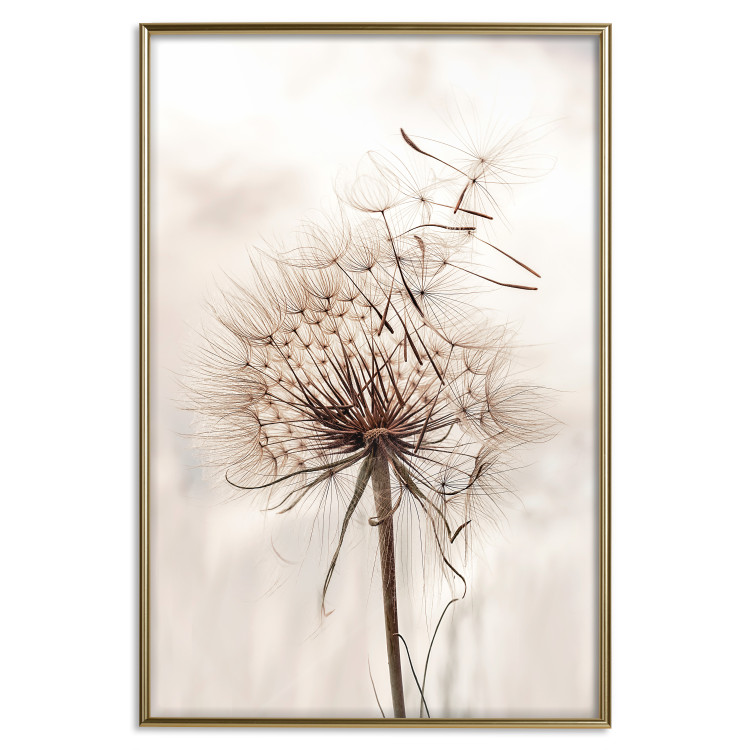 Poster Magnetic Breeze - dandelion flower in the wind in sepia colors 131776 additionalImage 25