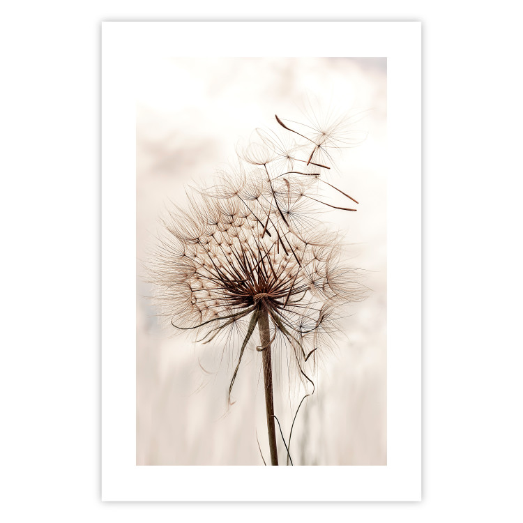 Poster Magnetic Breeze - dandelion flower in the wind in sepia colors 131776 additionalImage 19