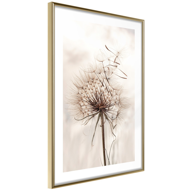Poster Magnetic Breeze - dandelion flower in the wind in sepia colors 131776 additionalImage 9