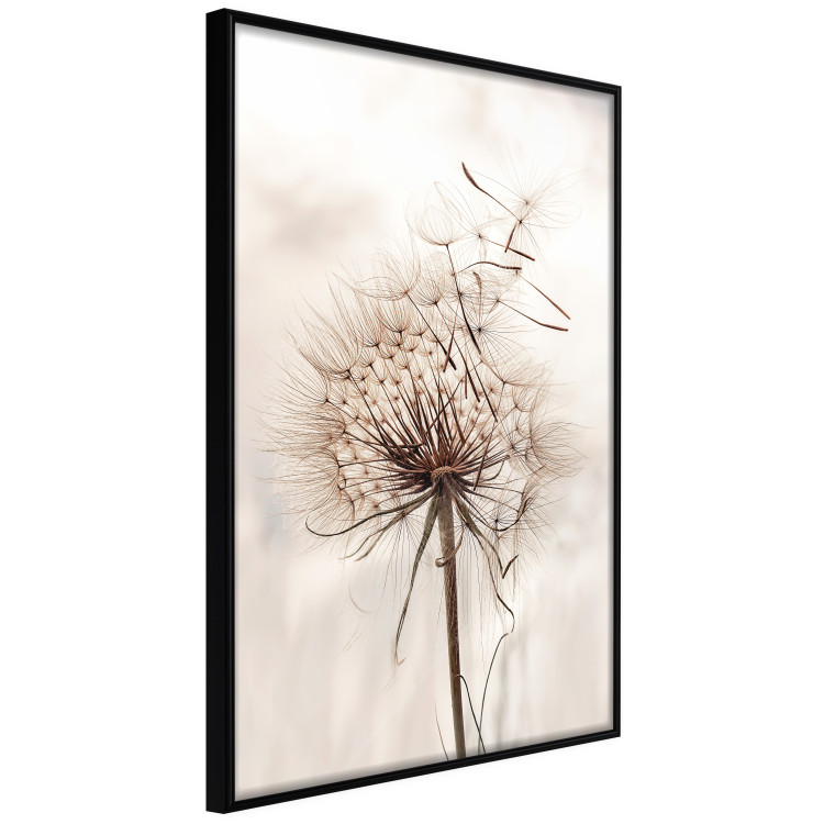 Poster Magnetic Breeze - dandelion flower in the wind in sepia colors 131776 additionalImage 11