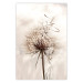 Poster Magnetic Breeze - dandelion flower in the wind in sepia colors 131776