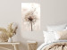 Poster Magnetic Breeze - dandelion flower in the wind in sepia colors 131776 additionalThumb 4
