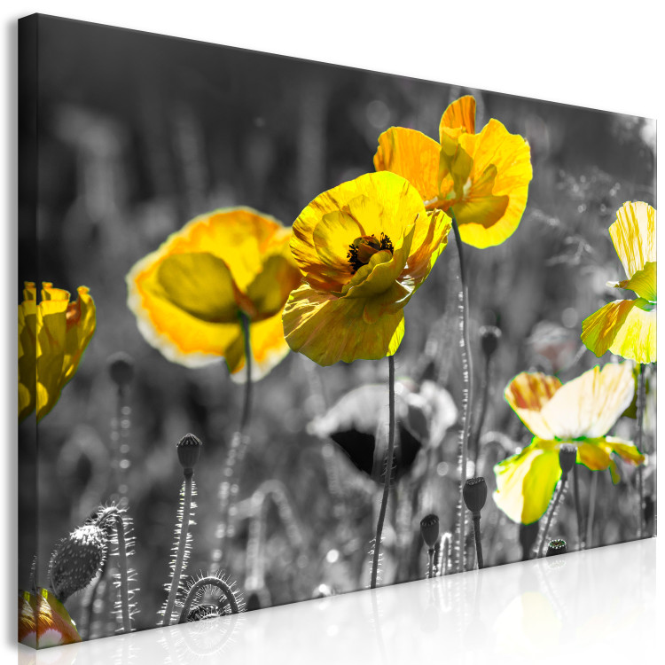 Large canvas print Yellow Poppies II [Large Format] 132376 additionalImage 2