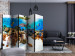 Room Divider Screen Coral Reef II (5-piece) - colorful fish and plants at the seabed 133376 additionalThumb 4