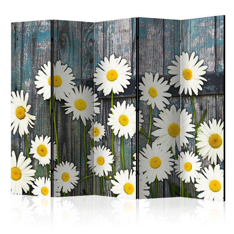 Folding Screen Return to Innocence II - composition of white daisies on a wooden plank background 133876