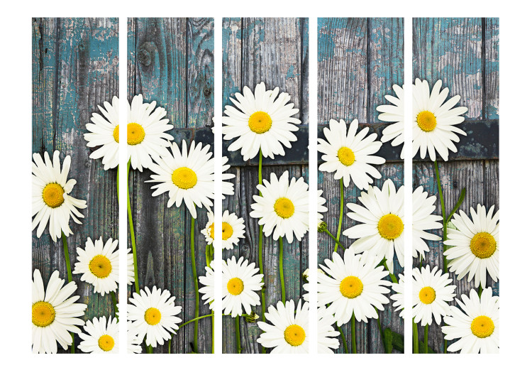 Folding Screen Return to Innocence II - composition of white daisies on a wooden plank background 133876 additionalImage 3