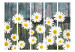 Folding Screen Return to Innocence II - composition of white daisies on a wooden plank background 133876 additionalThumb 3