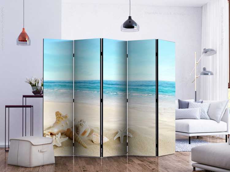 Folding Screen Flower Blanket 2a (5-piece) - seascape and beach landscape against the sky 134376 additionalImage 2