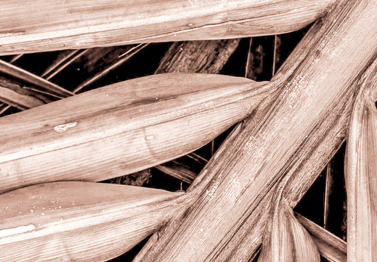 Canvas Art Print Dry palm - dried palm leaf set under a sharp angle 135276 additionalImage 4