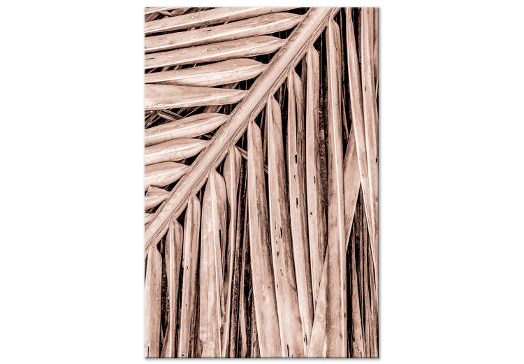 Canvas Art Print Dry palm - dried palm leaf set under a sharp angle 135276