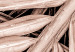 Canvas Art Print Dry palm - dried palm leaf set under a sharp angle 135276 additionalThumb 4