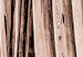Canvas Art Print Dry palm - dried palm leaf set under a sharp angle 135276 additionalThumb 5