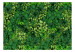 Photo Wallpaper Plant Wall 135676 additionalThumb 1