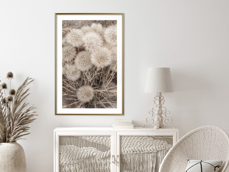 Poster Gentle Cluster - composition with fluffy dandelions in sepia tone 137276 additionalImage 15